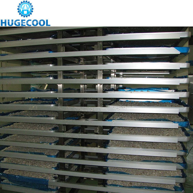 300kg/H Capacity Vacuum Freeze Drying Machine Convenient Installation
