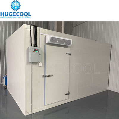 Precise Temperature Control Freezer Cold Room Energy Saving Design High Strength Panels