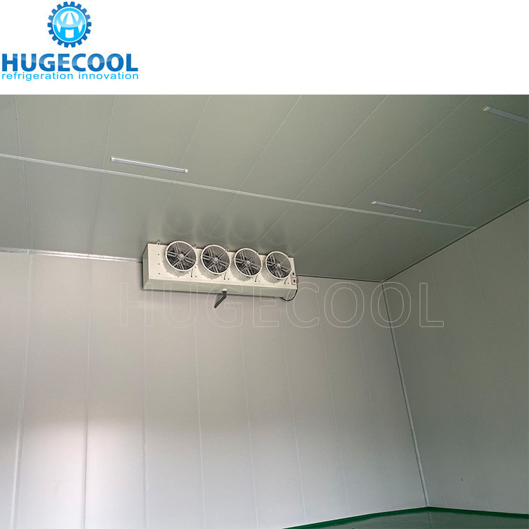 Food freezer refrigerated cold storage