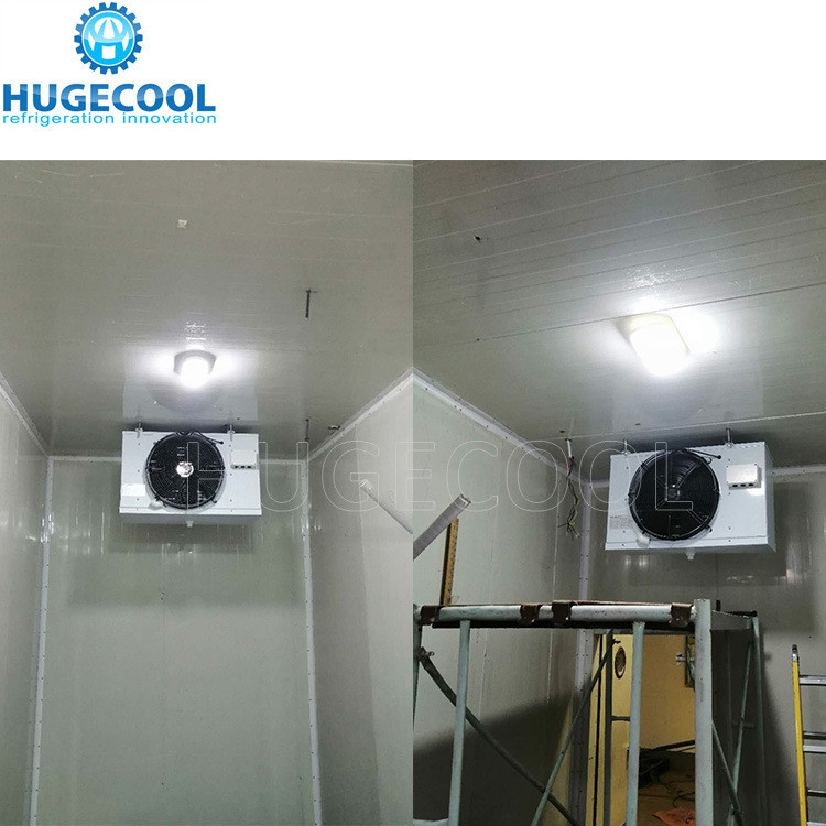 Mono Block Condensing Unit Compressor Coldroom For Fruits And Vegetables 2*2*2.5m