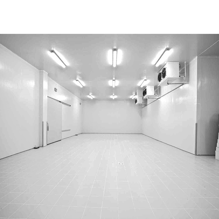Mono Block Condensing Unit Compressor Coldroom For Fruits And Vegetables 2*2*2.5m