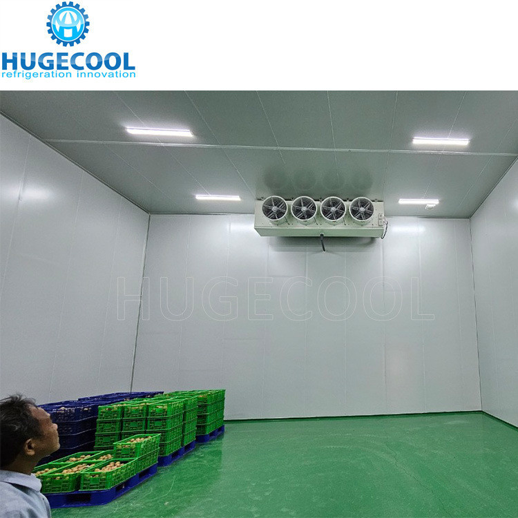 Mono Block Condensing Unit Compressor Coldroom For Fruits And Vegetables 2*2*2.5m